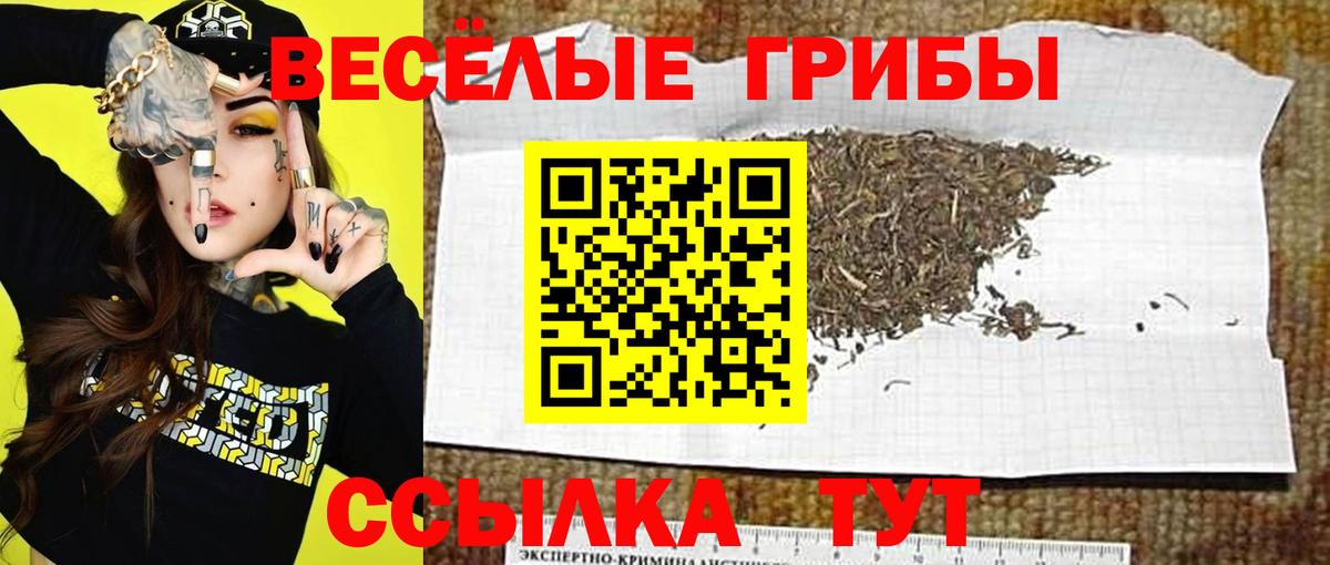 Галлюциногенные грибы Psilocybe  Галлюциногенные грибы GOLDEN TEACHER  Бутурлиновка  Вход с VPN 